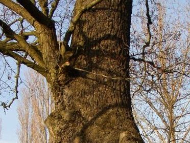 Referenzen Bebauungsflächennutzung