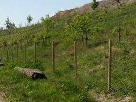 Referenzen Bebauungsflächennutzung