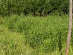 Referenzen Bebauungsflächennutzung