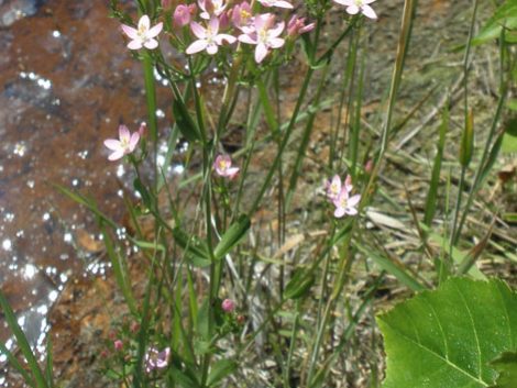 Referenzen Bebauungsflächennutzung